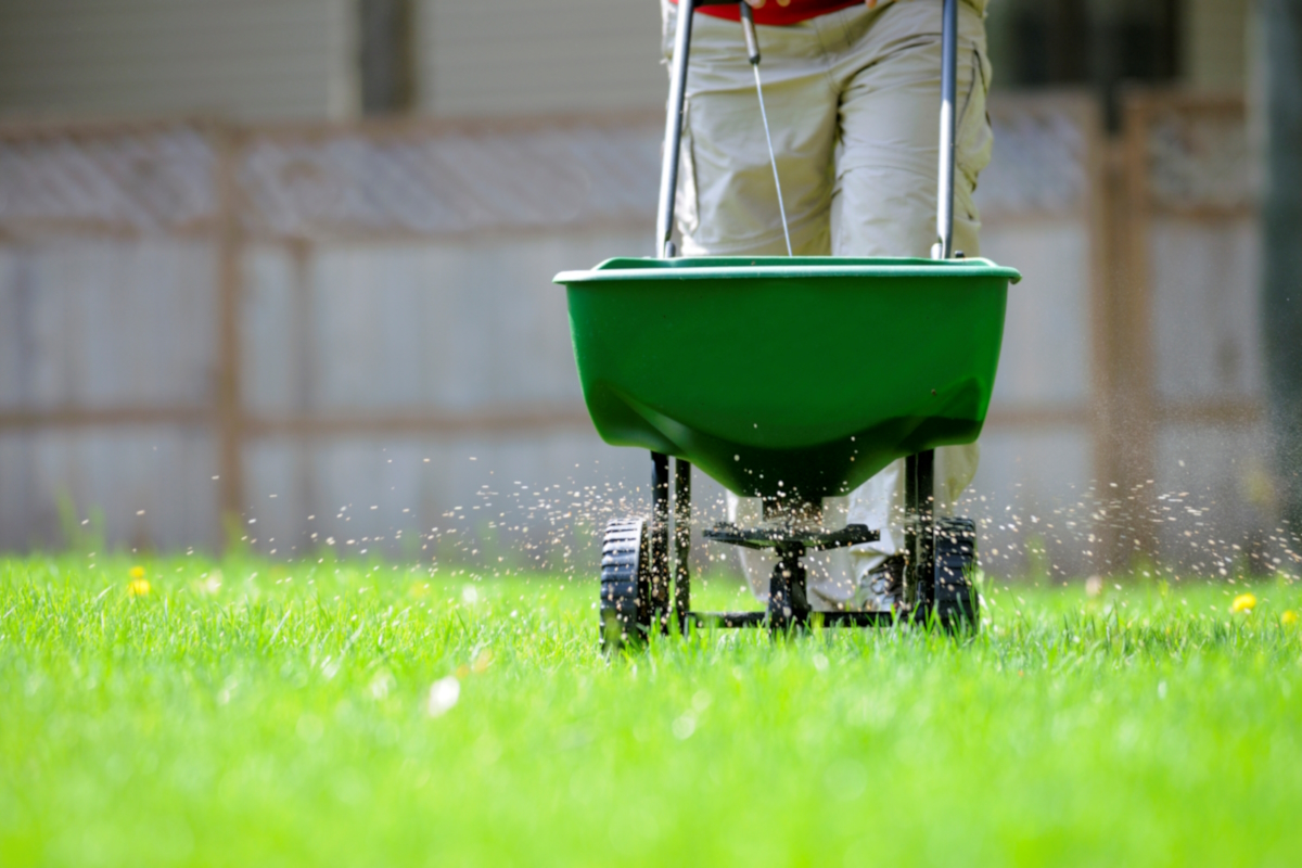 yard fertilizing spreader 